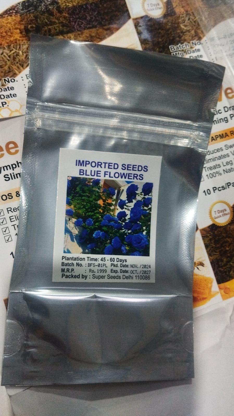 Climbing Rose Year-Round Blooming seeds (UK Imported)